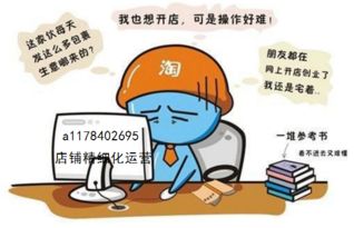 淘寶C店精細(xì)化運(yùn)營 大鏈接爆款玩法的核心技術(shù)解析與轉(zhuǎn)讓價(jià)值