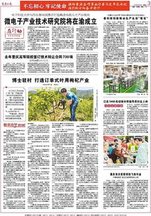 重慶高等院校技術(shù)轉(zhuǎn)讓成果豐碩，去年簽訂合同730項(xiàng)推動創(chuàng)新發(fā)展