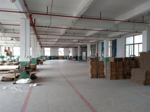 西鄉房屋改造裝修前，房屋建筑質量檢測報告應由何單位出具？工業設計服務需注意哪些要點？